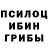 Галлюциногенные грибы Psilocybe Xeyale Xeyale