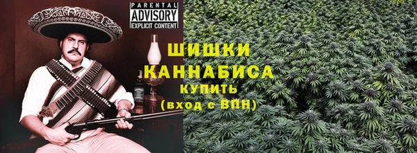 гашик Балахна