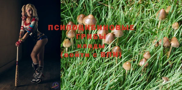 винт Балабаново