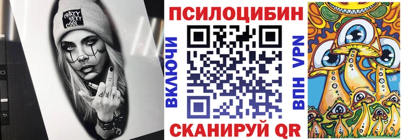 Купить  Кондопога  Псилоцибиновые грибы Psilocybe 